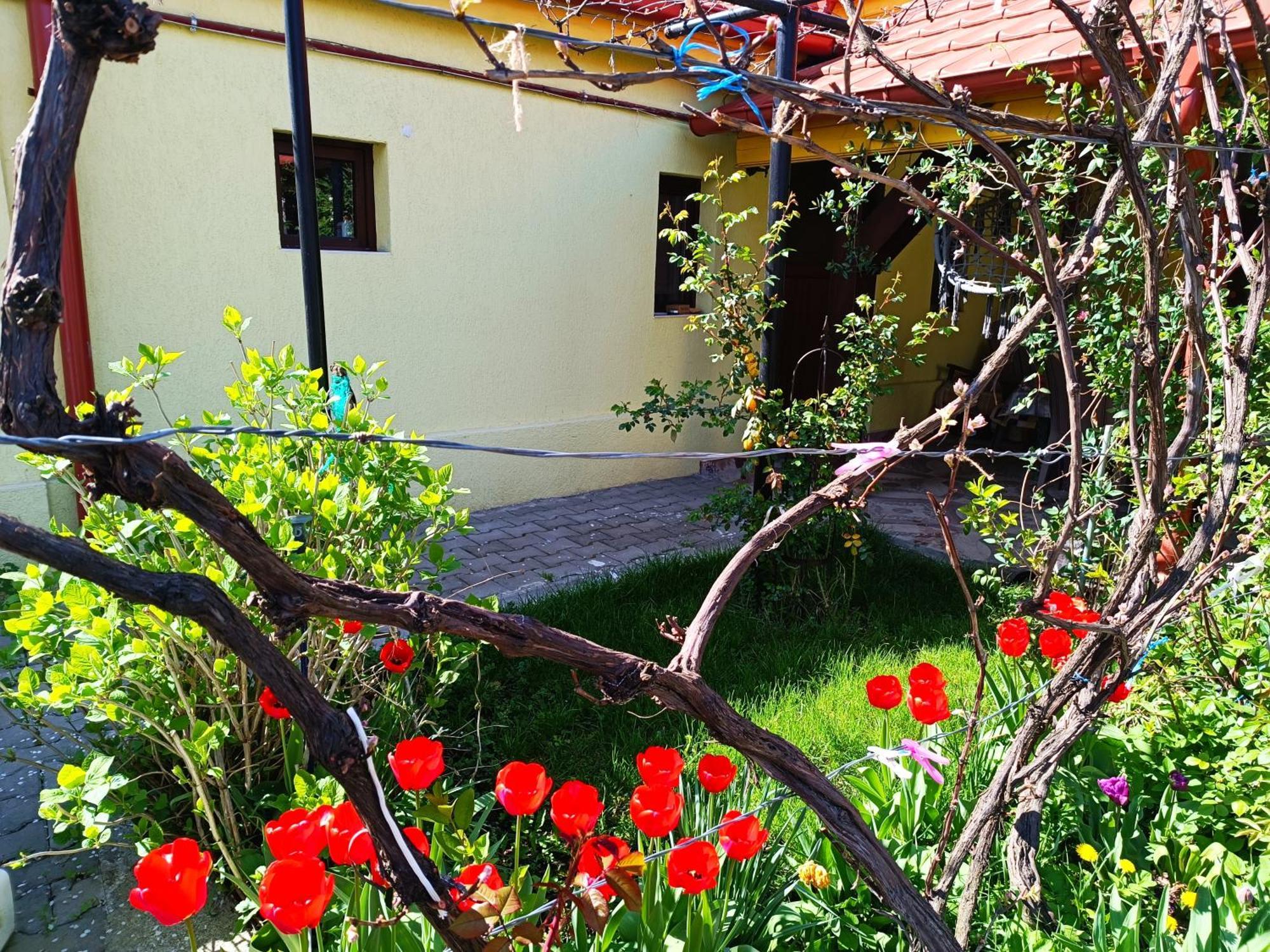 Apartamento Casa Bunicilor Cisnădie Exterior foto
